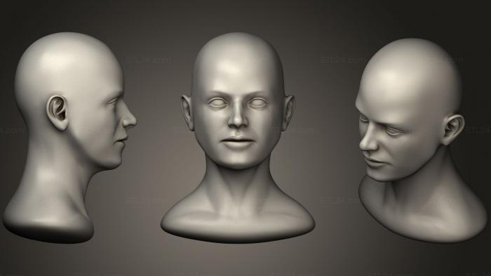 Anatomy of skeletons and skulls (Female Head 2 Base, ANTM_0498) 3D models for cnc